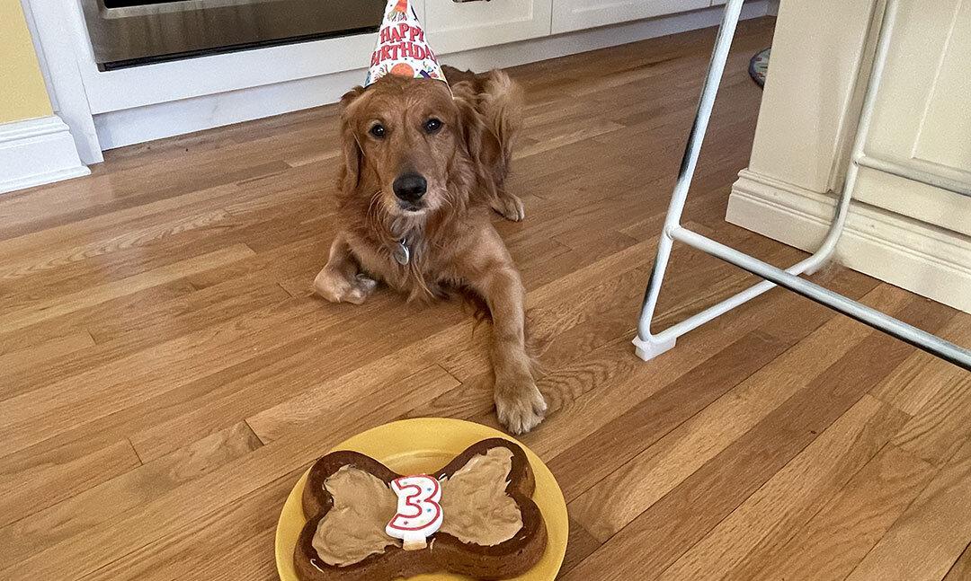 Jones Turns 3!